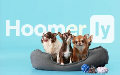 Best Robot Vacuum and Mop for Pets (Fur, Dander and All)