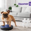 The 9 Best Robot Vacuums for Pet Hair (2026): Buyer’s Guide