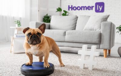 The 9 Best Robot Vacuums for Pet Hair (2026): Buyer’s Guide