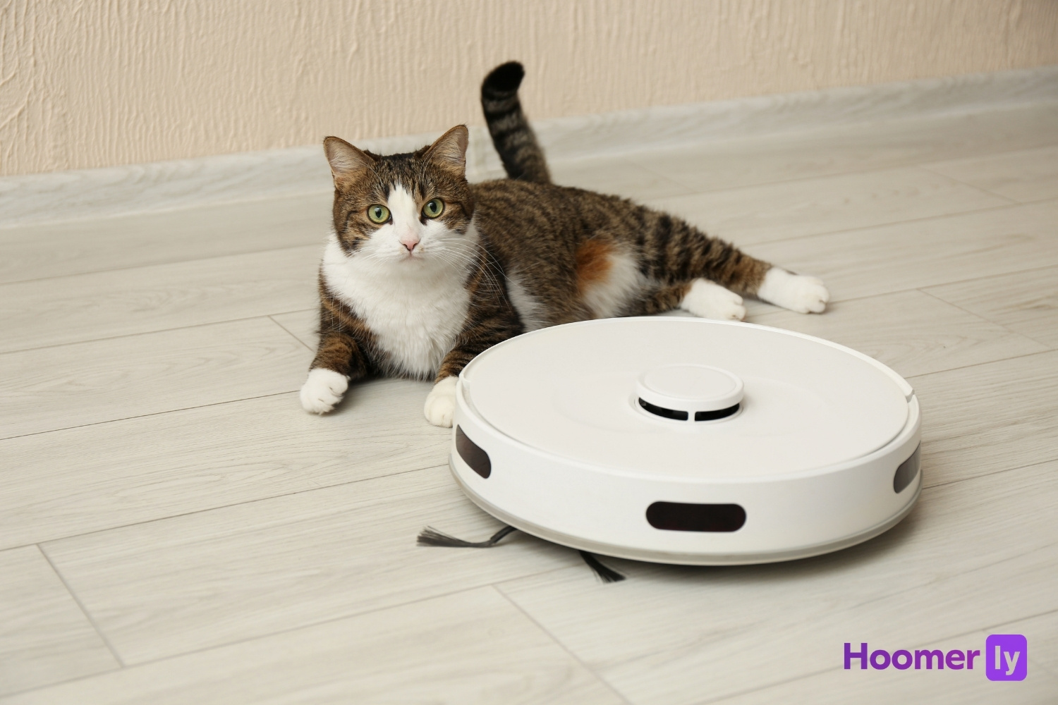 best robot vacuum for pet hair under 300