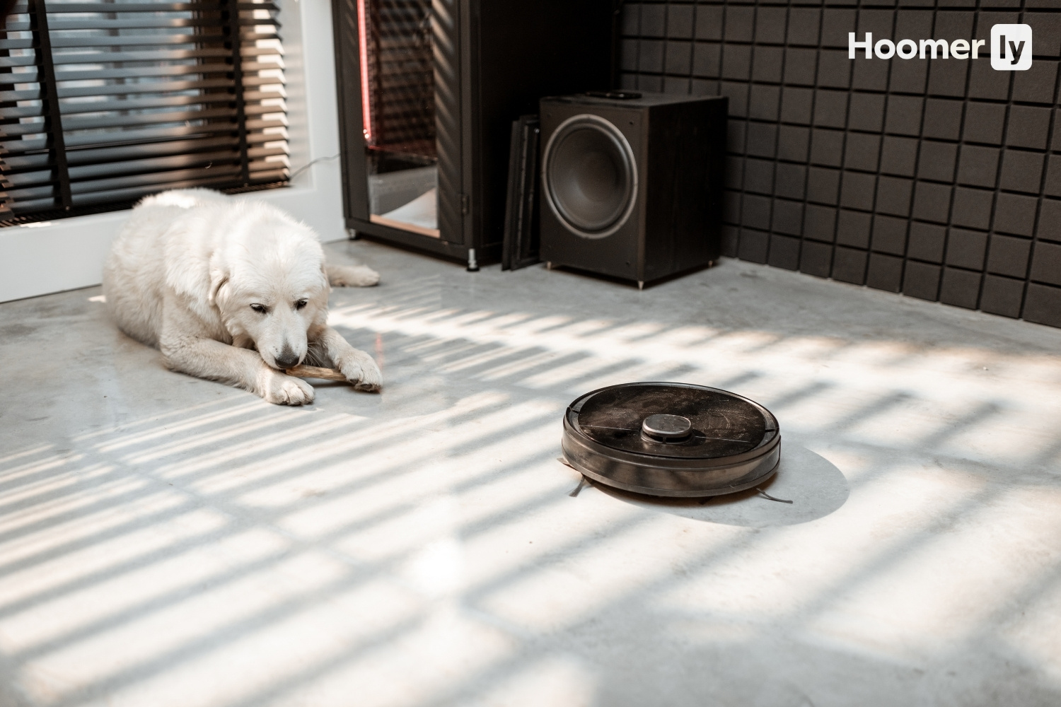 best robot vacuum for pet hair under 500