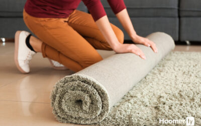 9 Best Robot Vacuums for High Pile Carpet (Strong Suction) in 2026