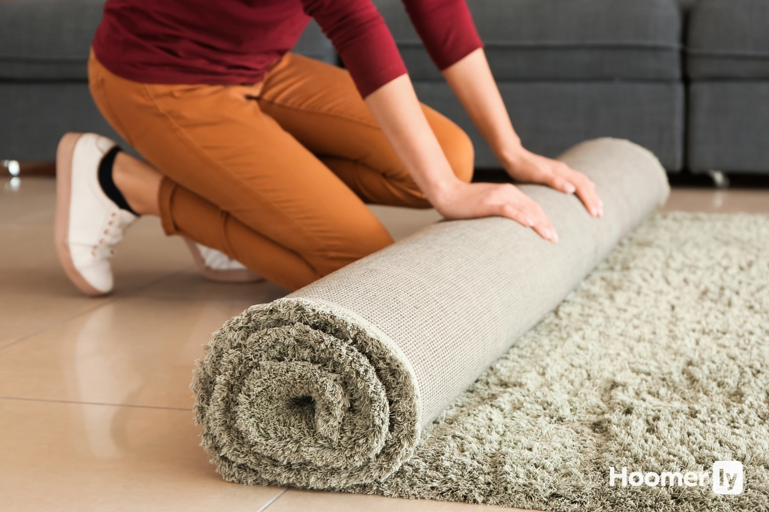 best robot vacuum high pile carpet