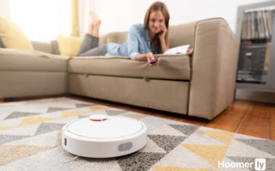 7 Best Robot Vacuums under $250: Affordable and Performance