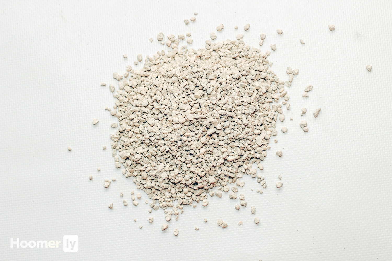 cat litter