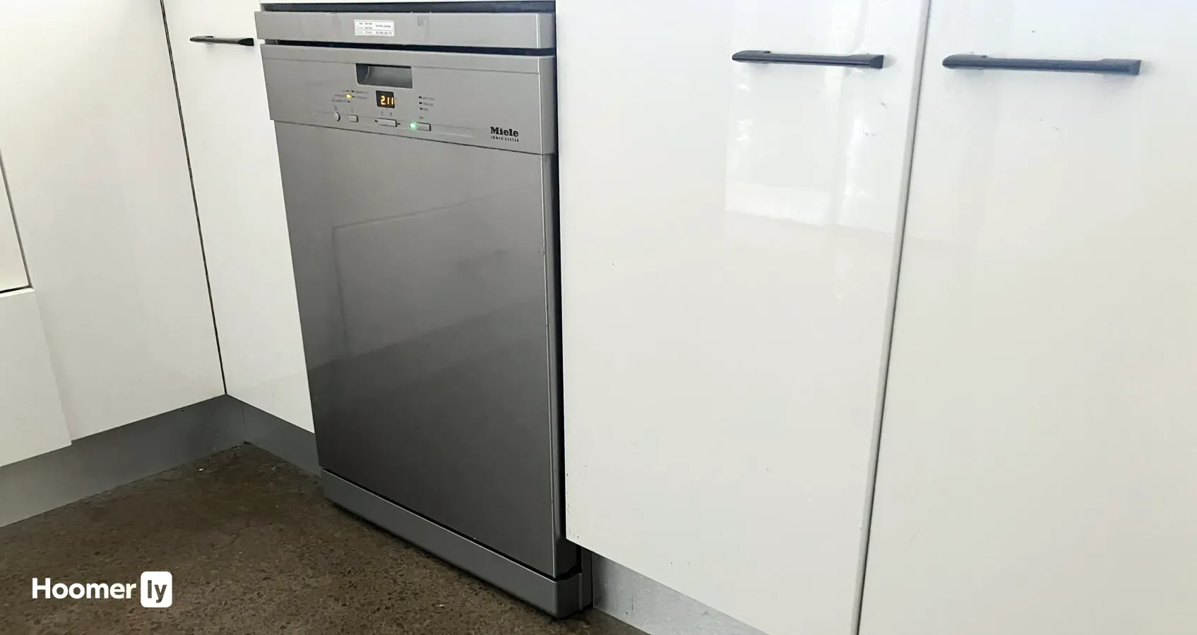 dishwasher has developed